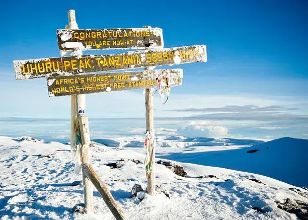 Group Tour: 8-Day | Kilimanjaro Lemosho Route - Start on: Aug 23, 2025, Price: $2,370
